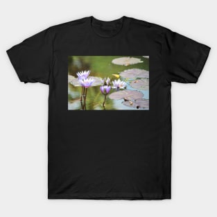 Lavendar Water Lilies T-Shirt